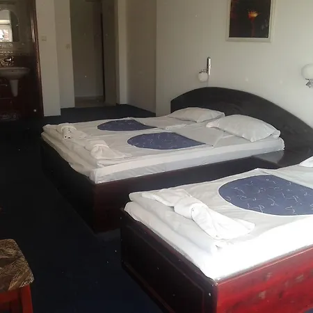 семеен елена палас 2*