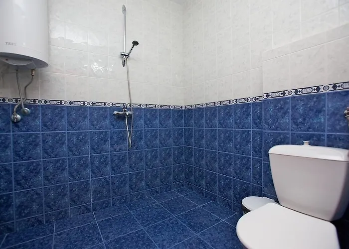 семеен елена палас