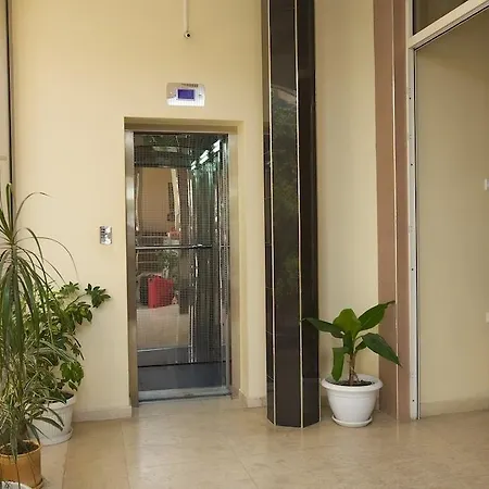 семеен елена палас